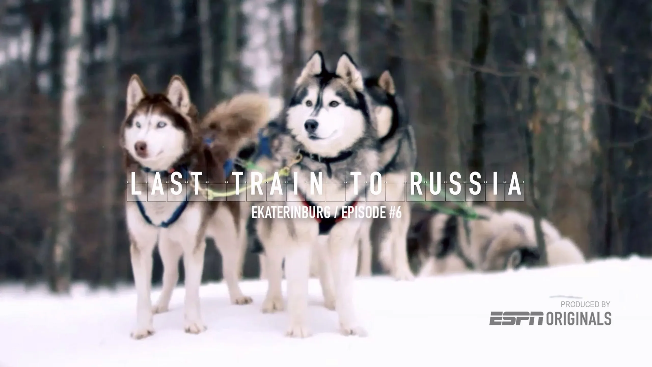 thumbnail - S1:E6 Ekaterinburg