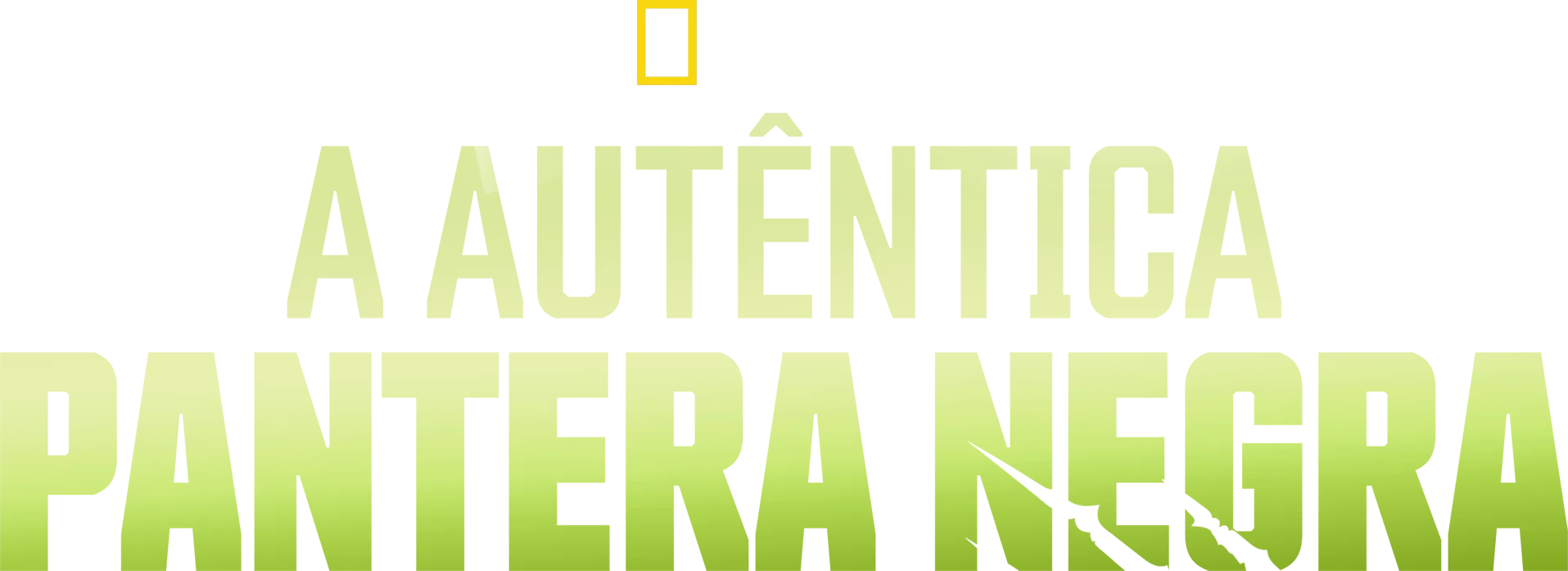 A Autêntica Pantera Negra