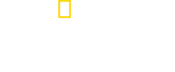 金氏王朝