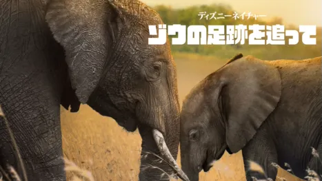 thumbnail - ディズニーネイチャー／ゾウの足跡を追って