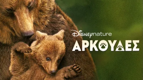 thumbnail - Αρκούδες