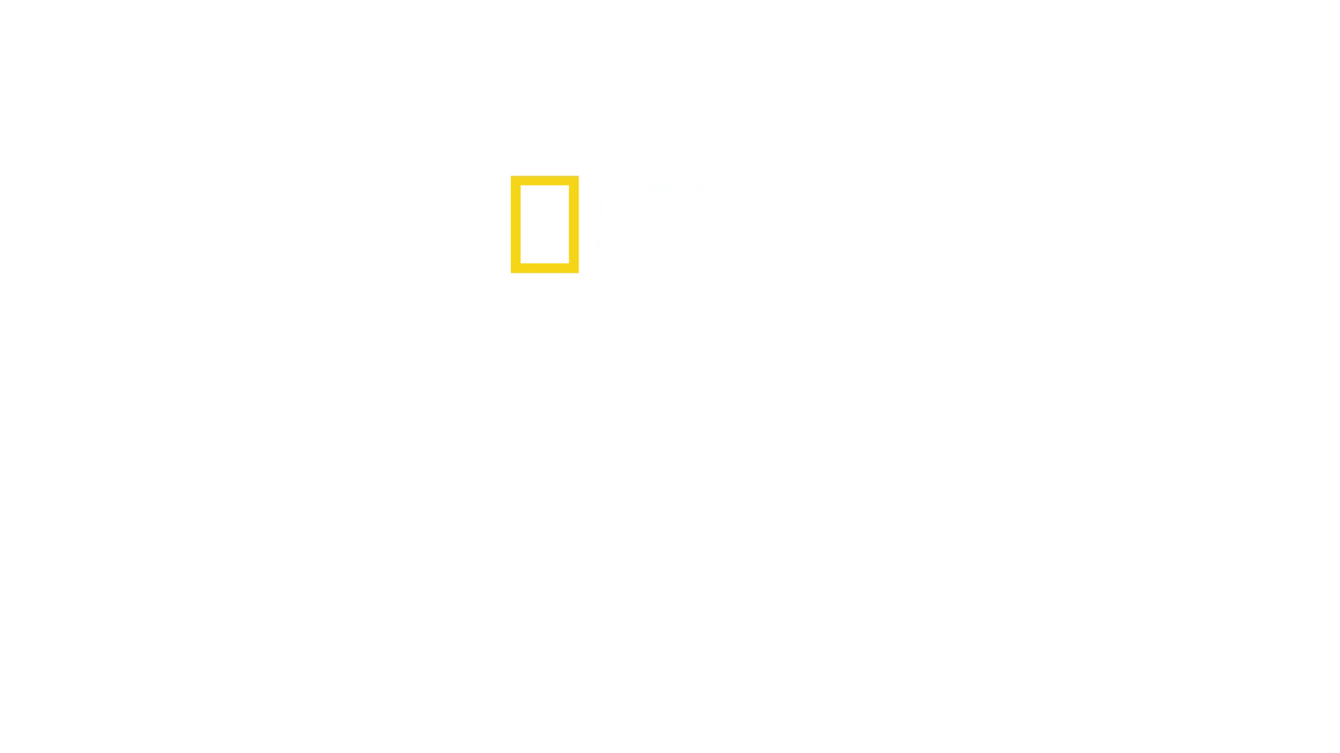 A Vida Secreta Dos Chimpanzés