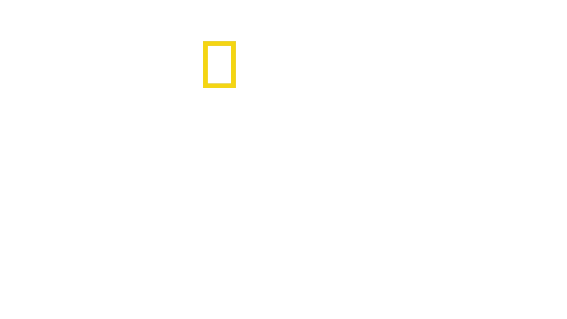 夢の象徴：星条旗を紡ぐ人たち