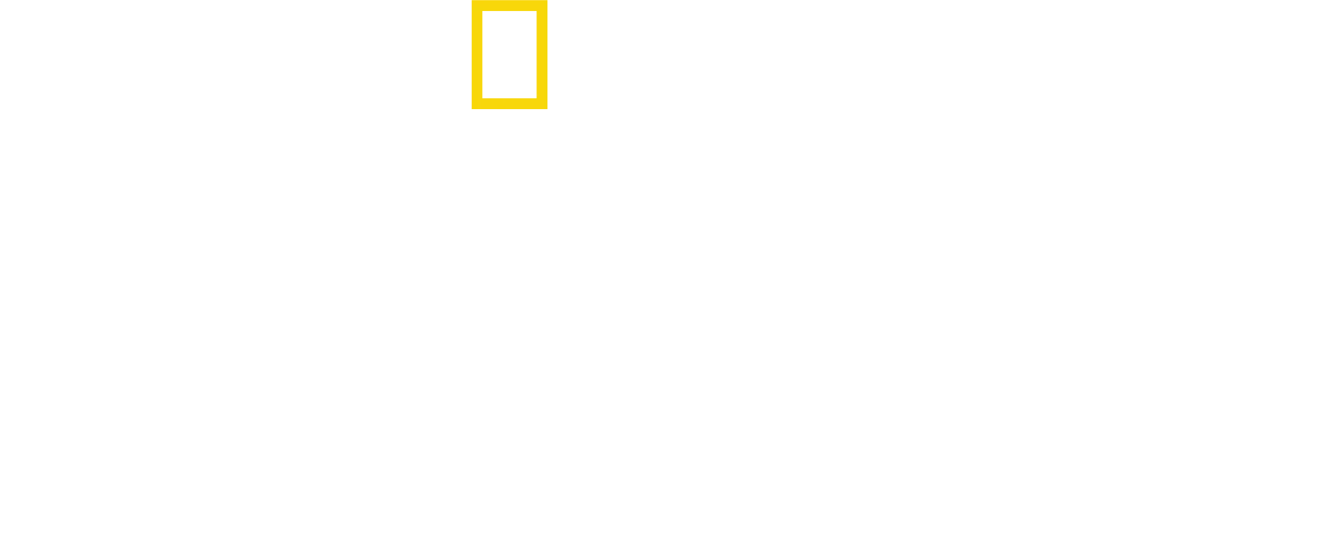 夢の象徴：星条旗を紡ぐ人たち