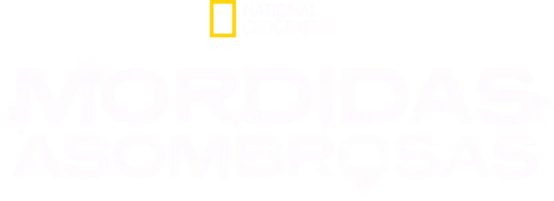 Mordidas Asombrosas