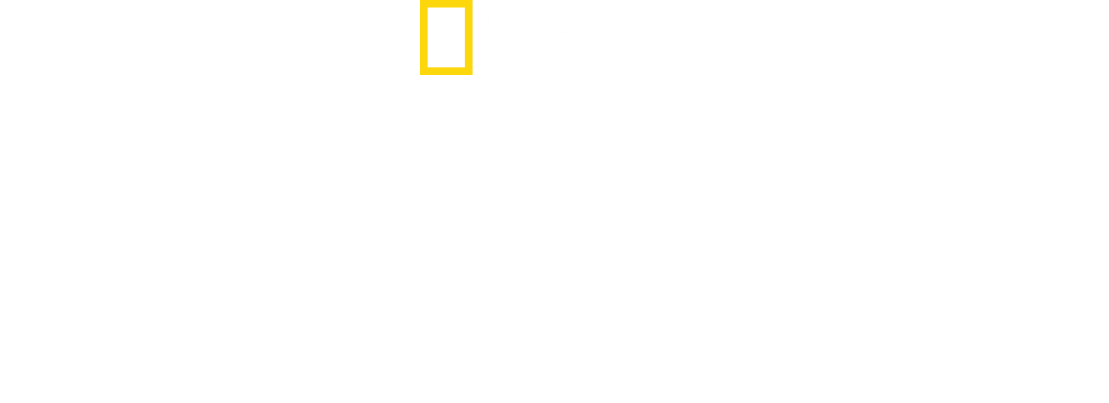 Mordidas Asombrosas