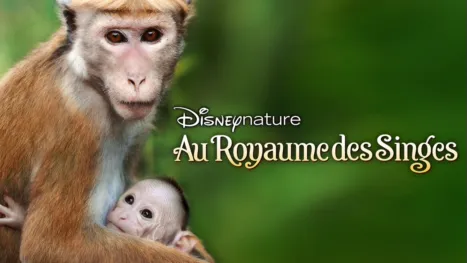 thumbnail - Au royaume des singes