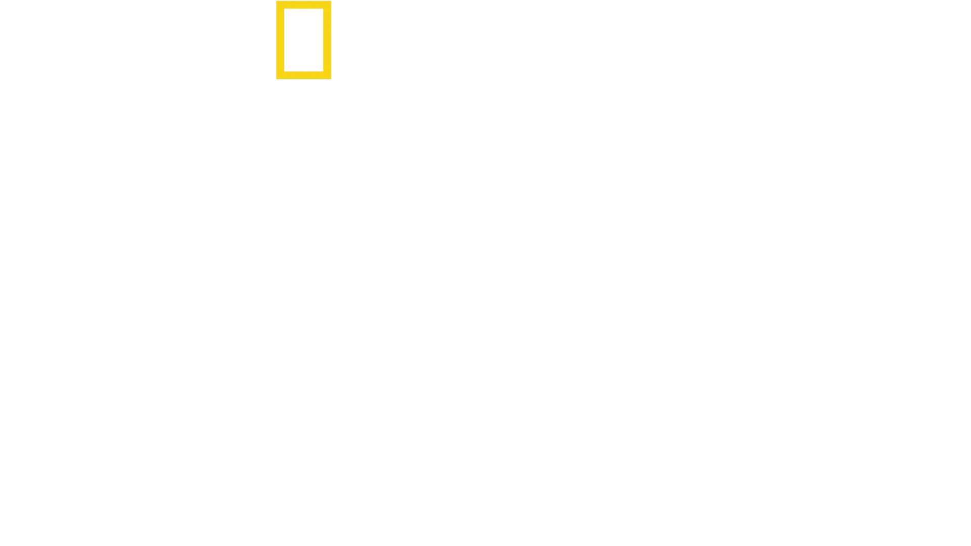 Tucci v Taliansku