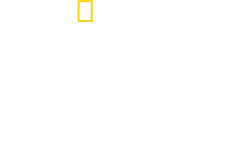 Tucci v Taliansku