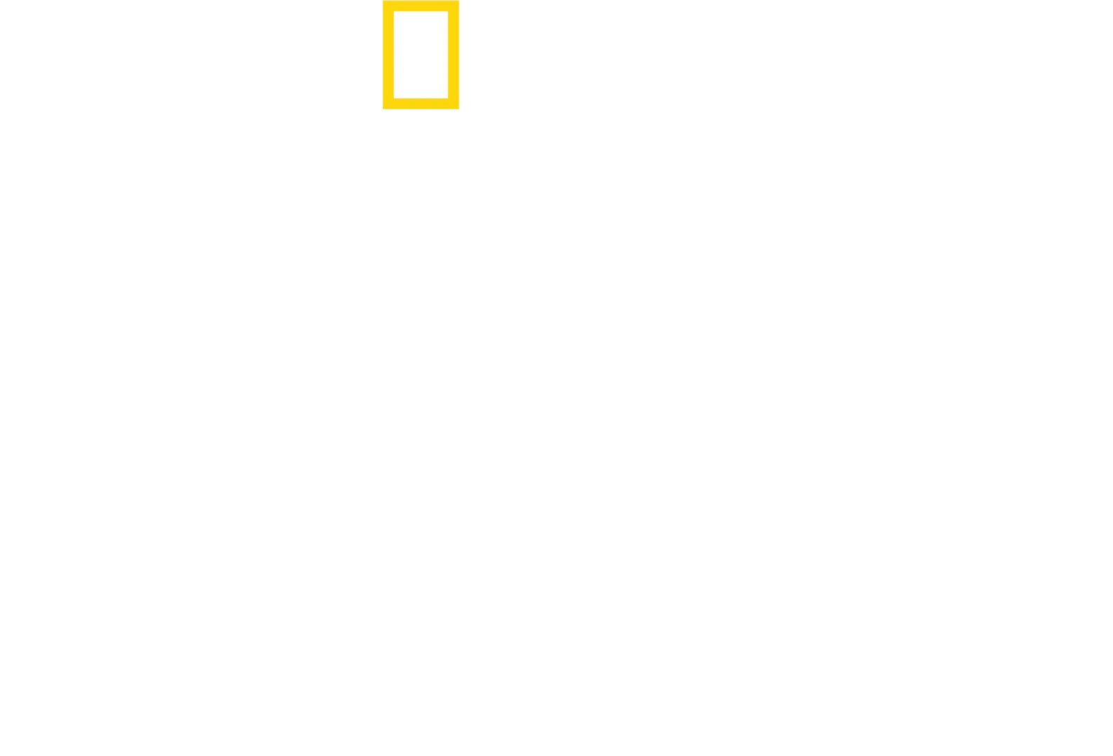 Tucci v Taliansku