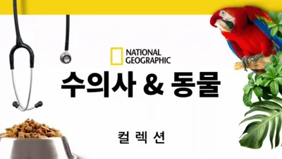 thumbnail - 수의사 & 동물
