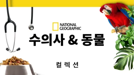thumbnail - 수의사 & 동물