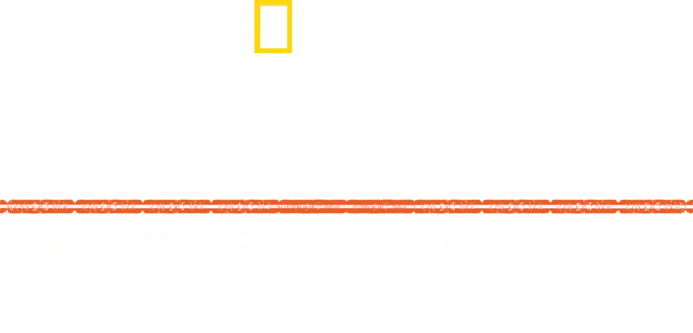 Apocalipsa: Hitler atacă Estul