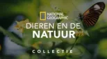 thumbnail - National Geographic: Dieren en natuur
