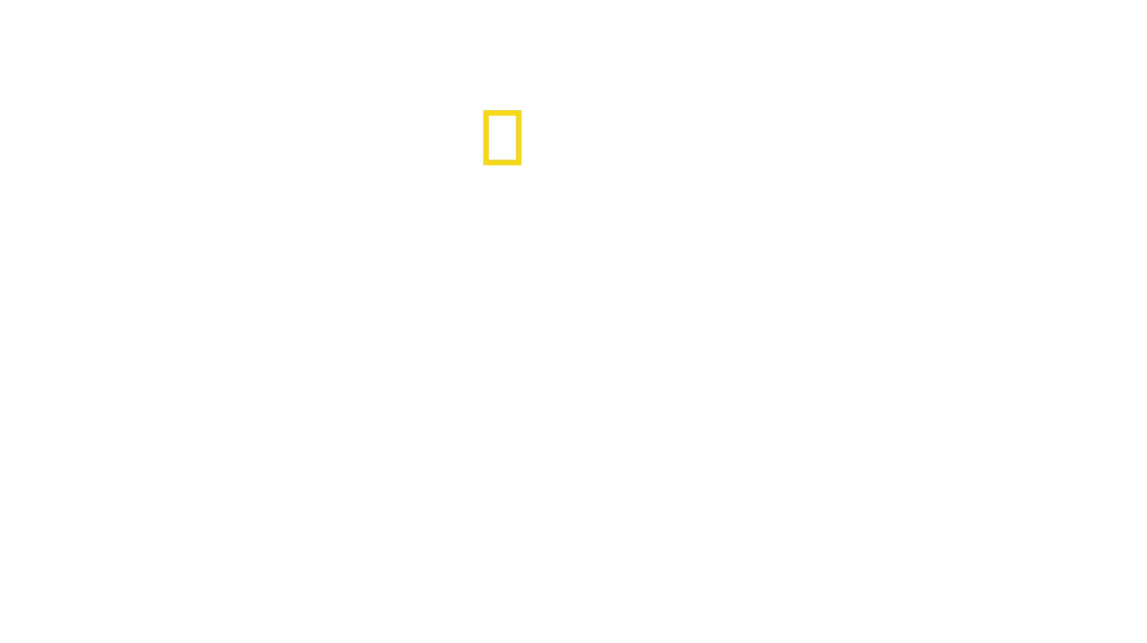 Planet of the Birds