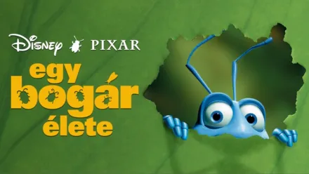thumbnail - Egy bogár élete
