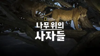 나무 위의 사자들