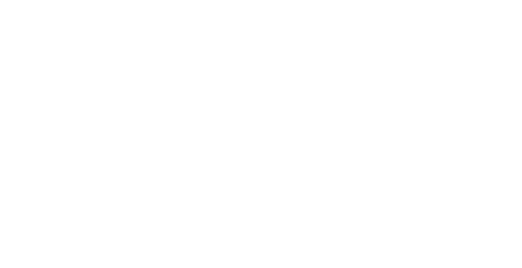 El comandante Fort