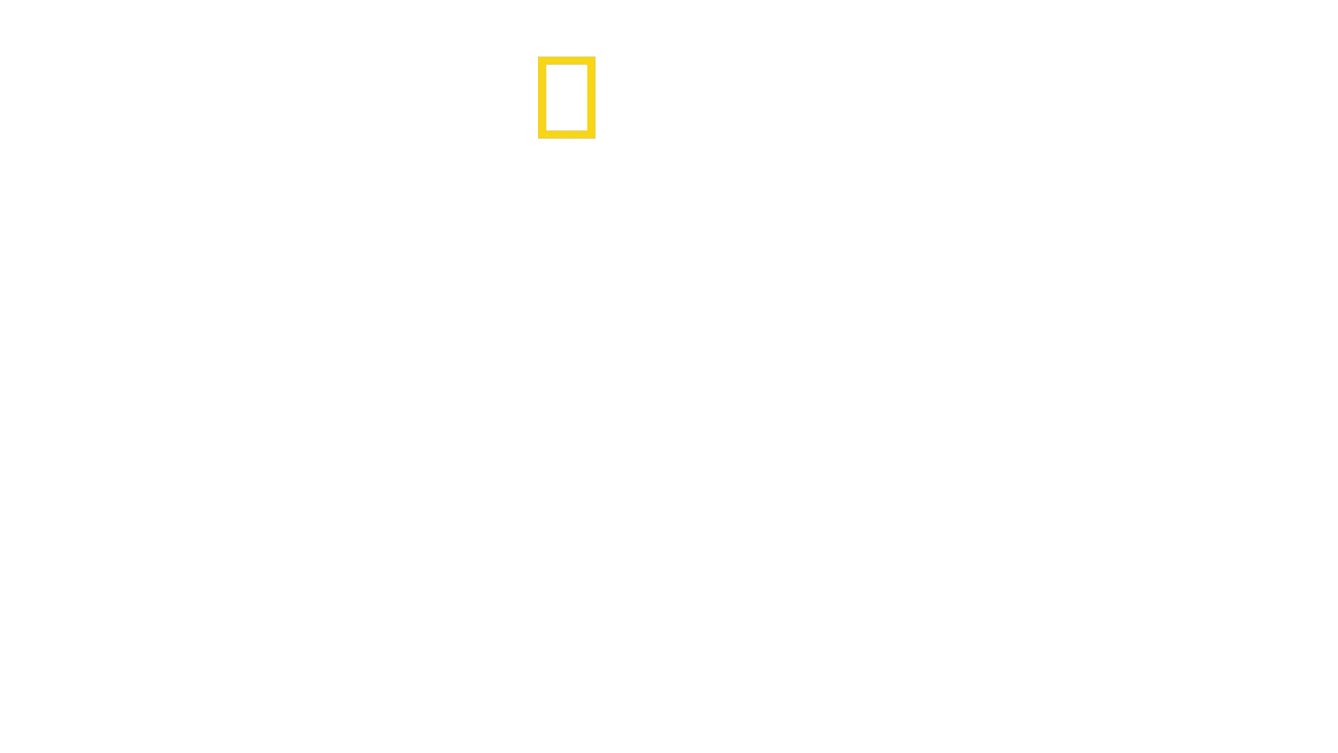 Ville Yellowstone