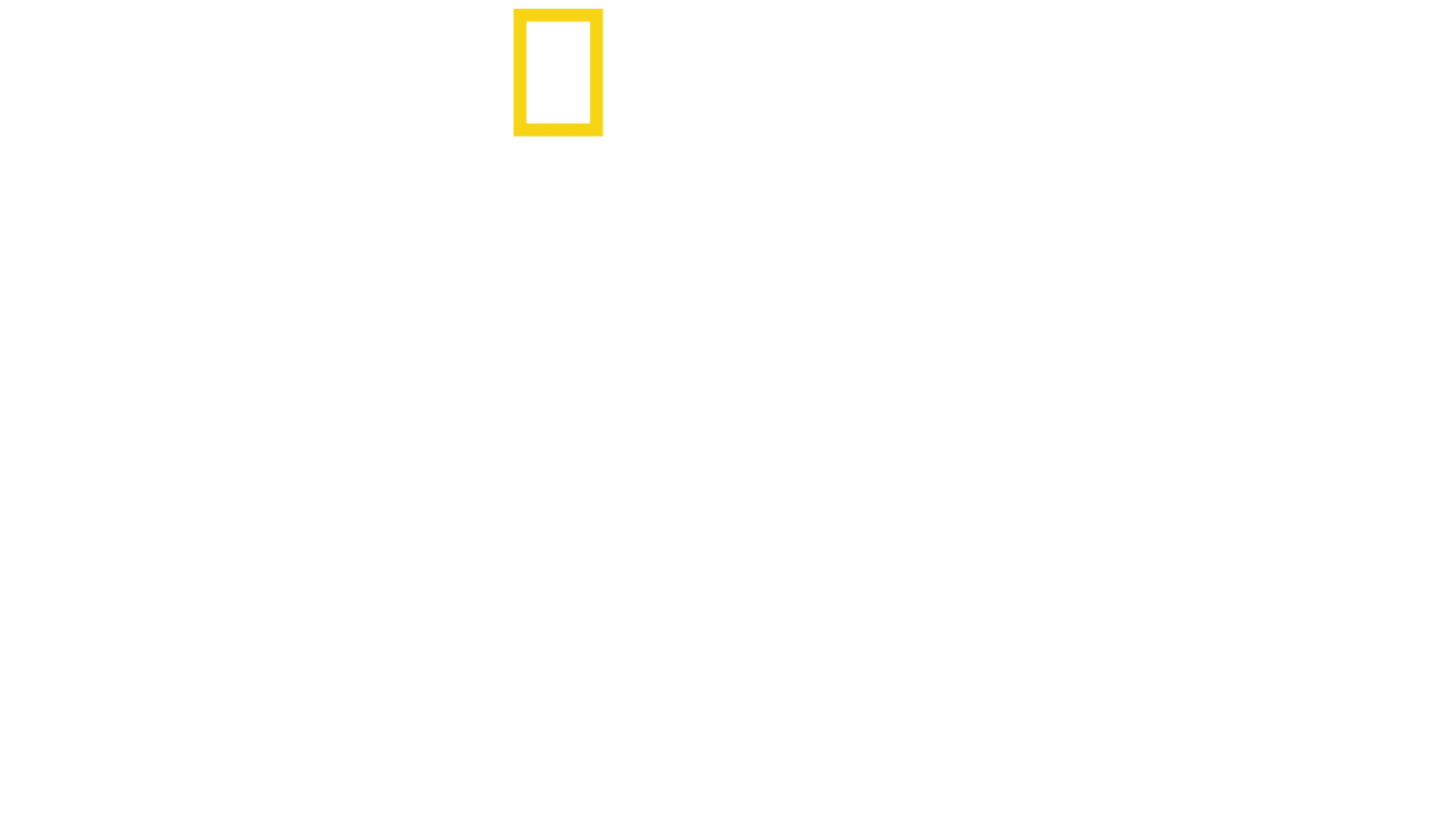 金字塔消失的墳墓