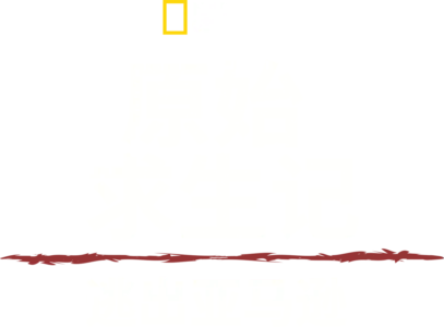 原始求生记：逃出亚马逊