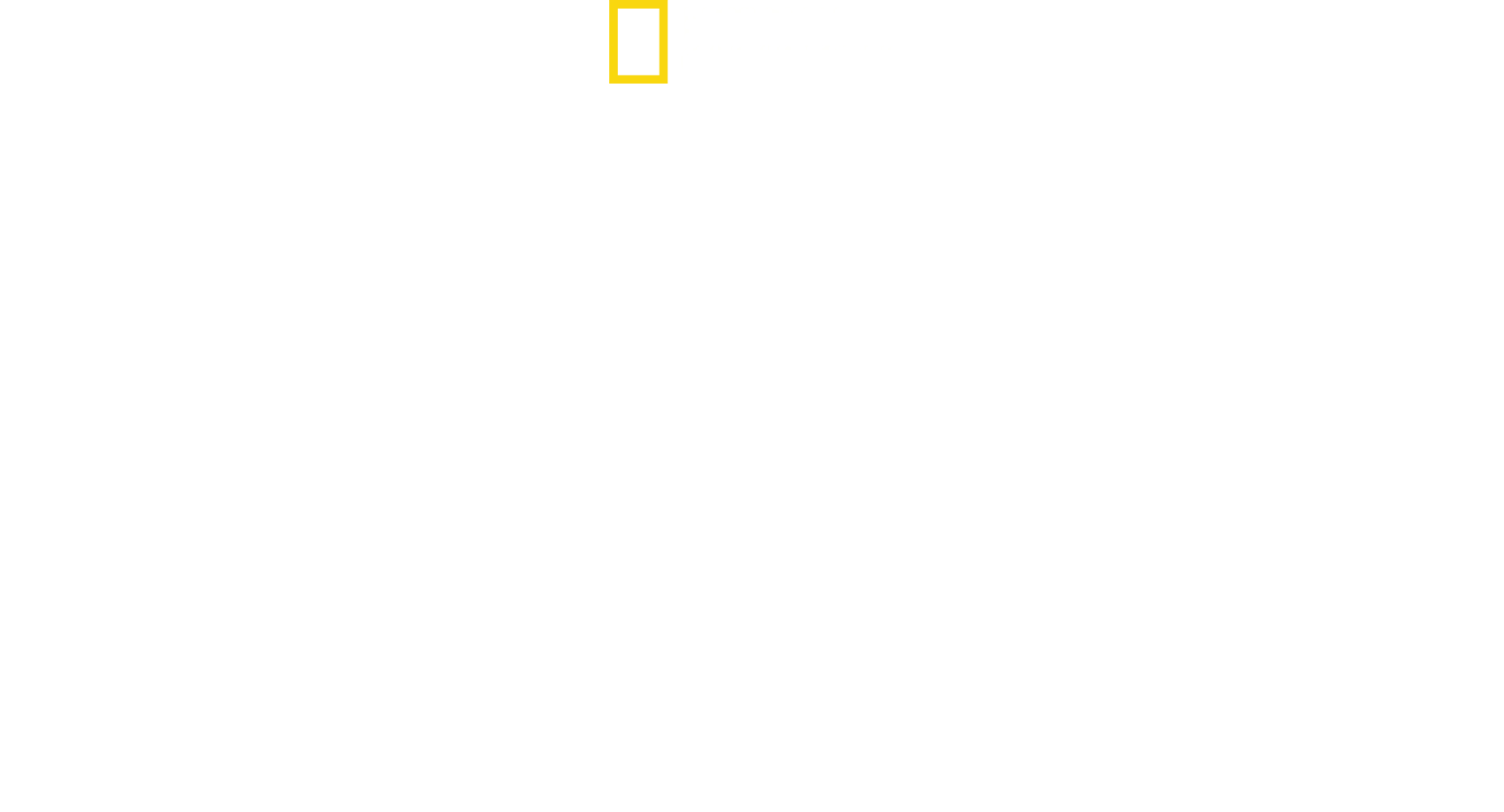 空中英雄: 美国第八航空队