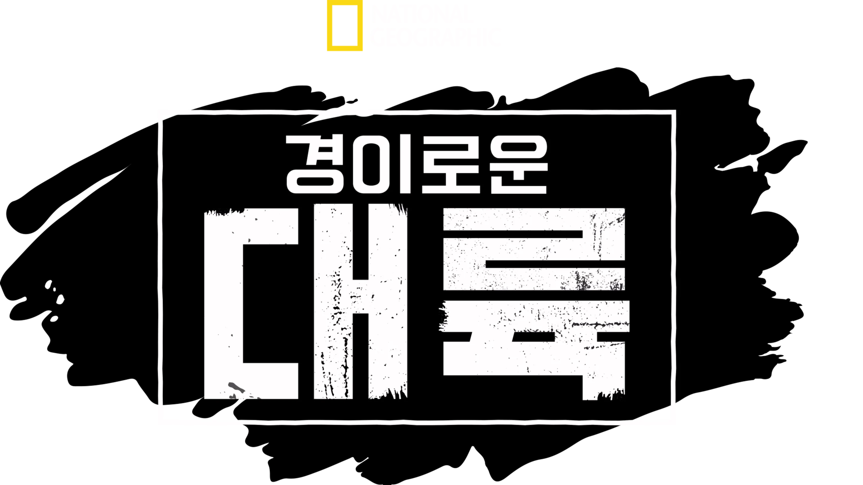 경이로운 대륙