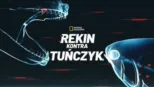 thumbnail - Rekin kontra tuńczyk