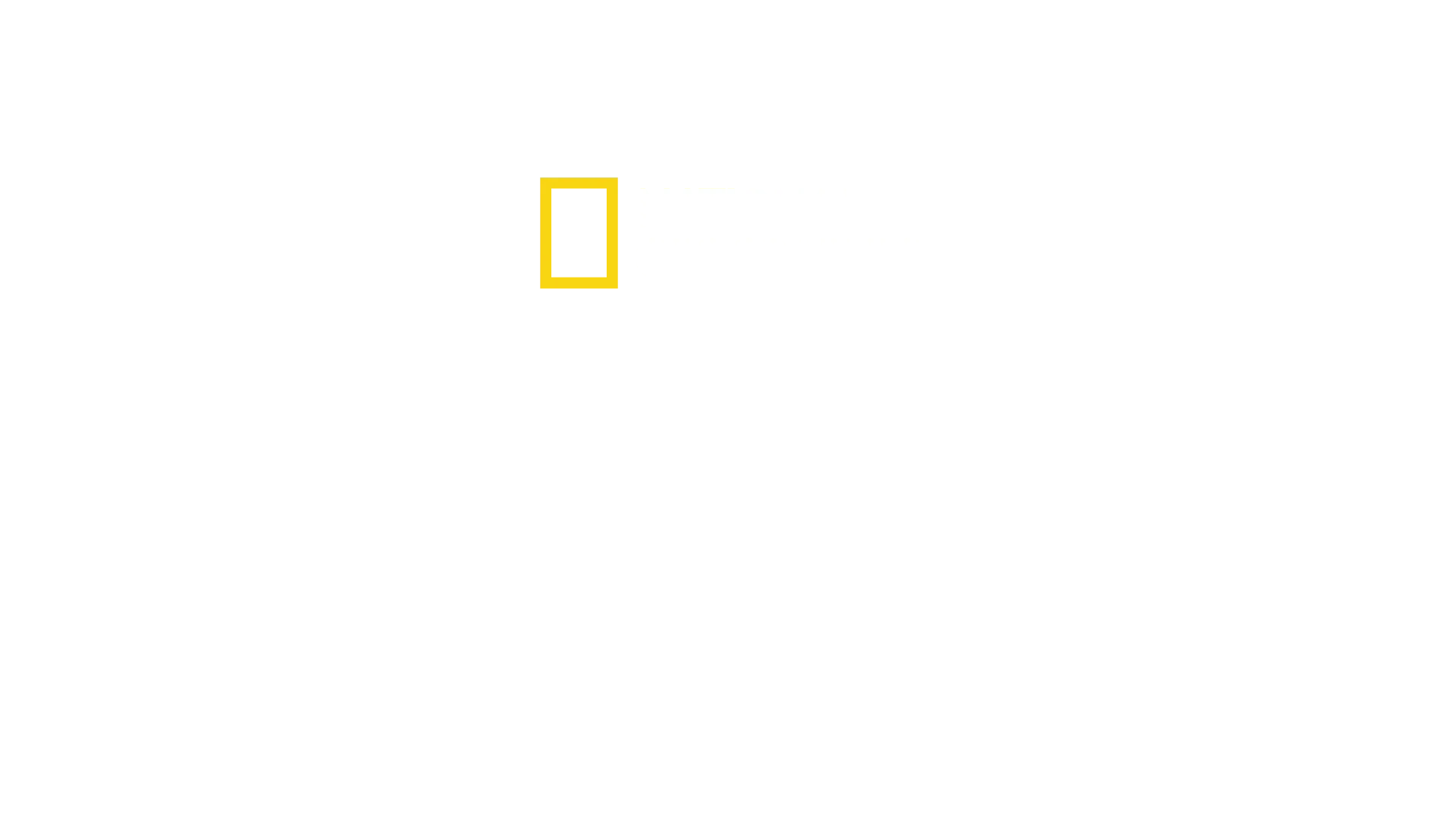 LAC TANGANYIKA : Le cœur bleu de l’Afrique