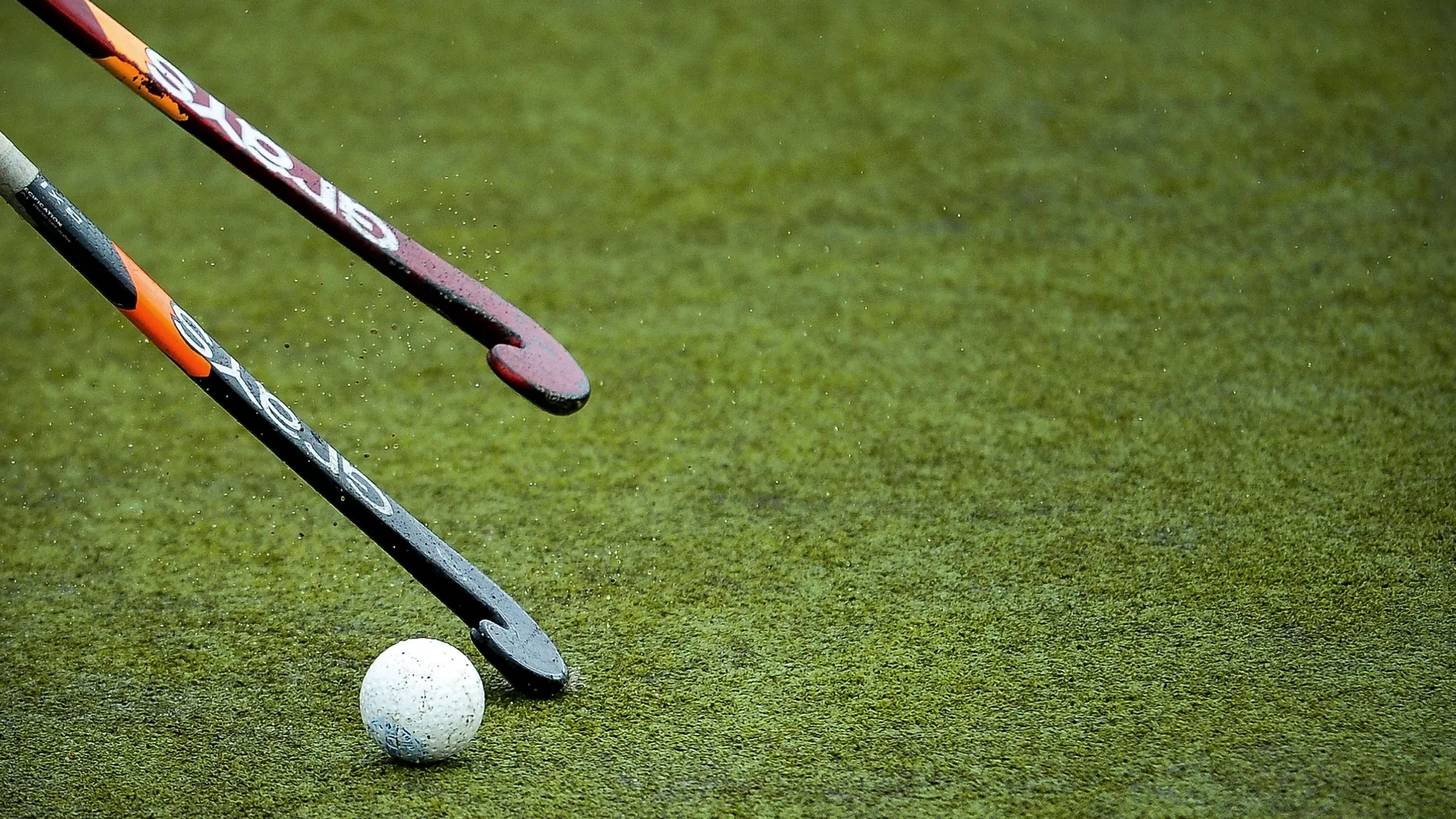 European Hockey League (3º Lugar)