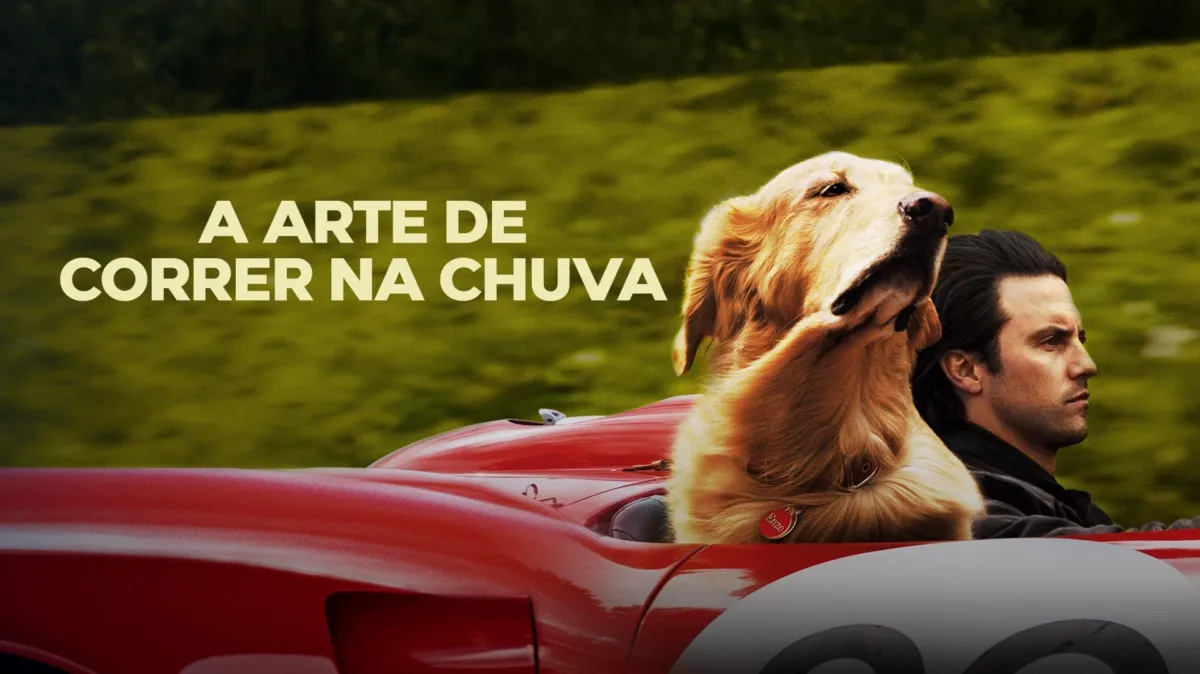 Assistir a A Arte de Correr na Chuva | Disney+