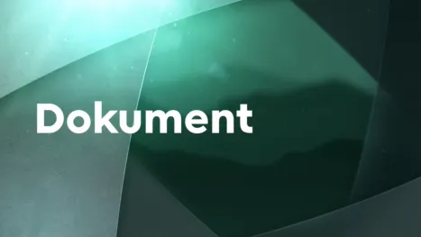 thumbnail - Dokument