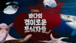 thumbnail - 바다의 경이로운 포식자들