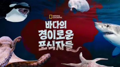 바다의 경이로운 포식자들