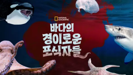 thumbnail - 바다의 경이로운 포식자들