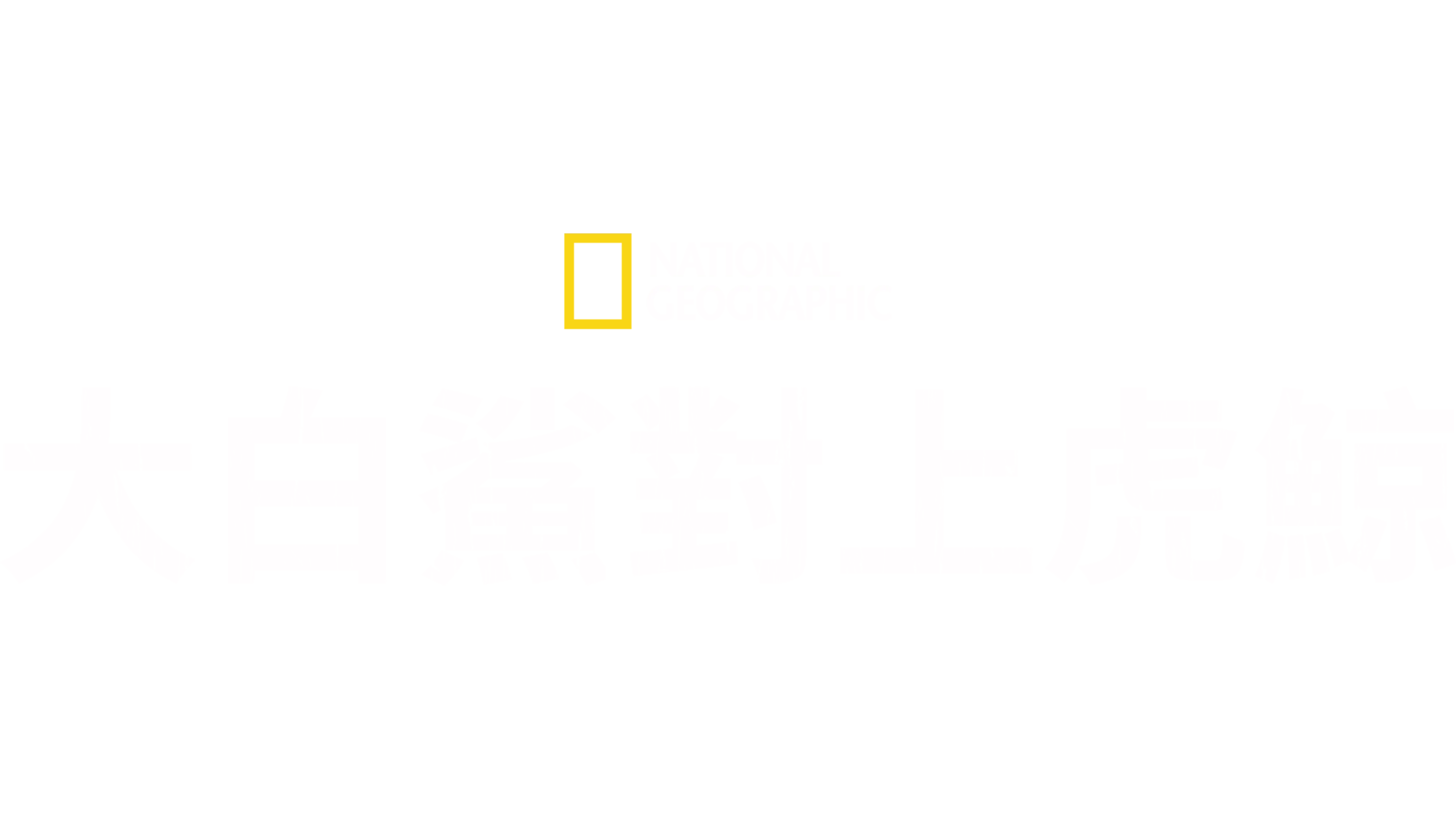 大白鯊對上虎鯨