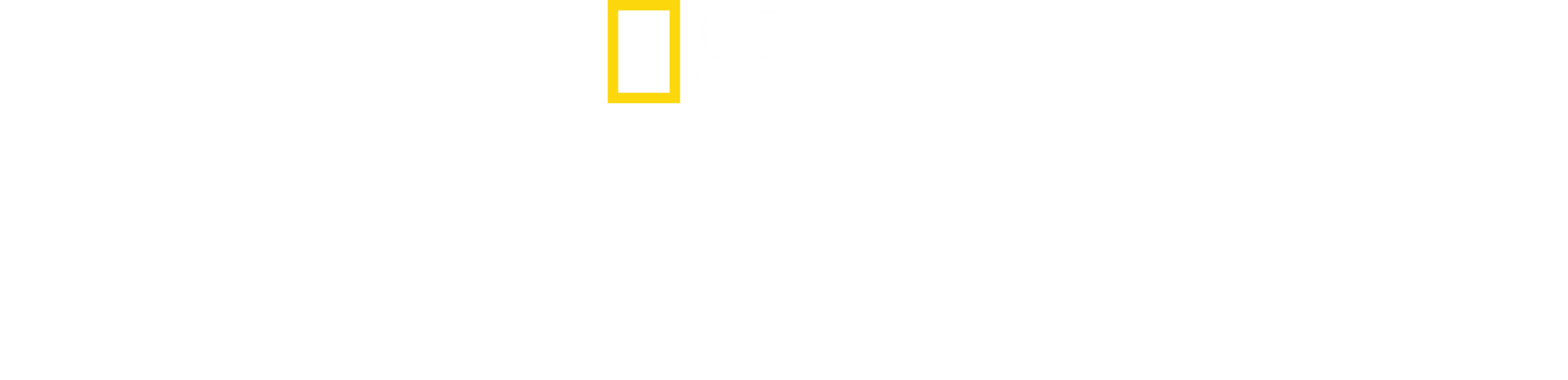 大白鯊對上虎鯨