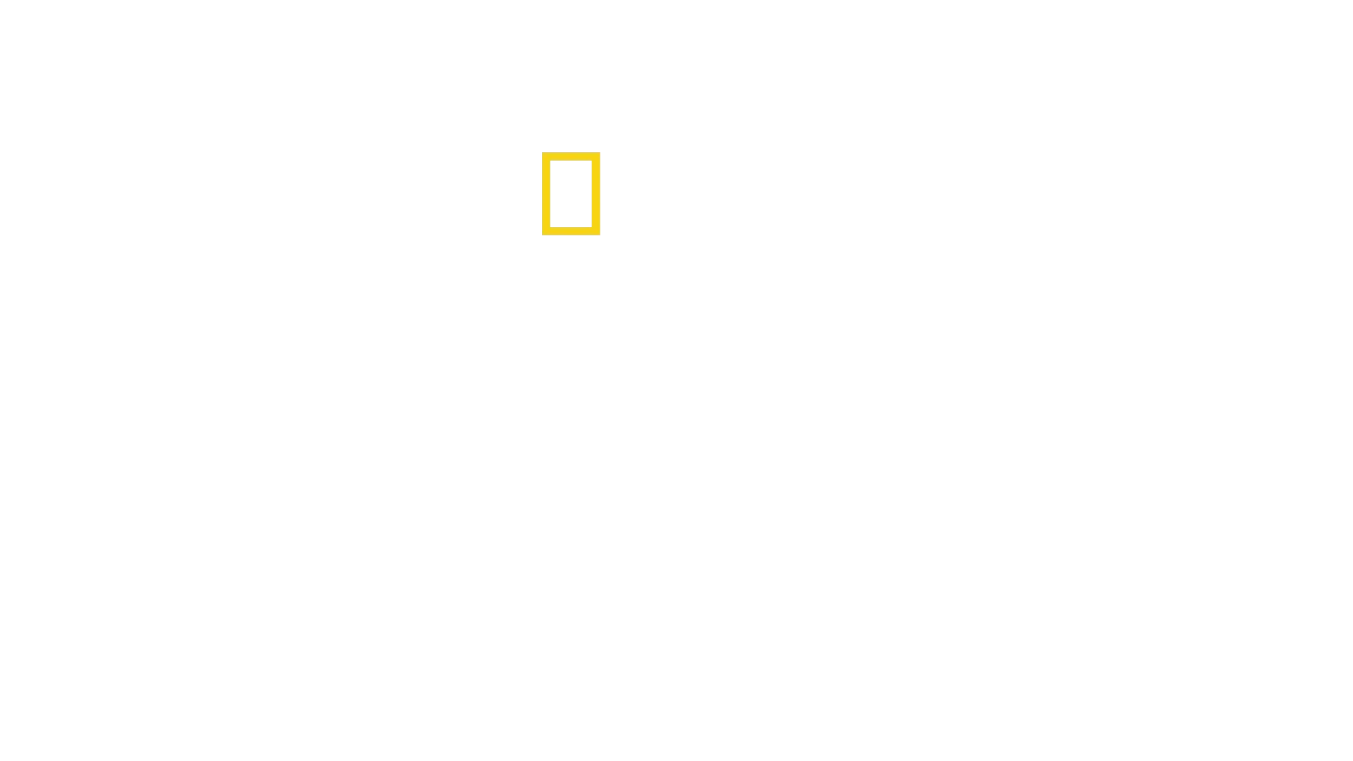 Det vilda Yellowstone