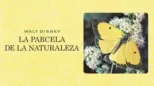 thumbnail - La parcela de la naturaleza