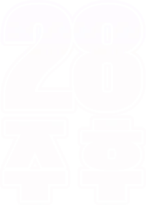 28주 후