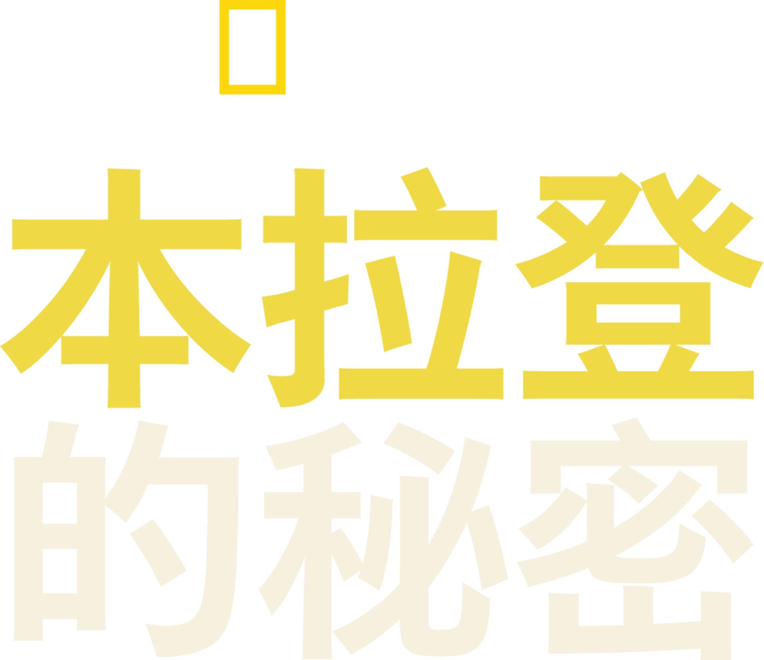 本拉登的秘密