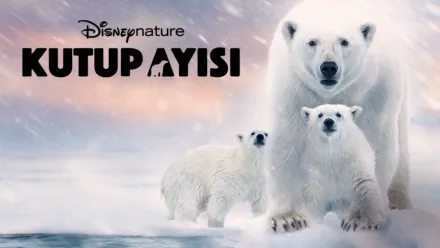 thumbnail - Kutup Ayısı
