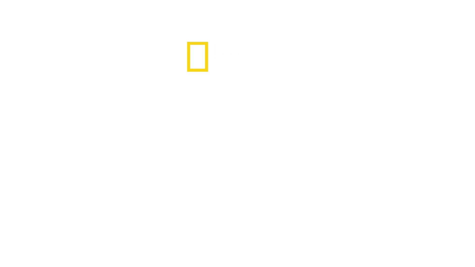 Salattu Pohjois-Korea