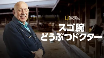 スゴ腕どうぶつドクター