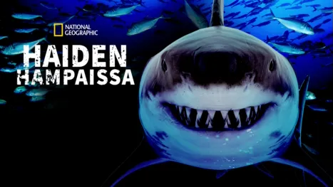 thumbnail - Haiden hampaissa