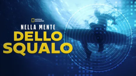 thumbnail - Nella mente dello Squalo