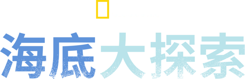 海底大探索
