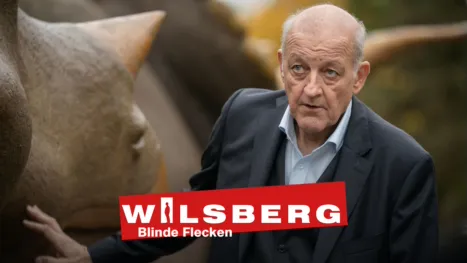 thumbnail - Wilsberg - Blinde Flecken