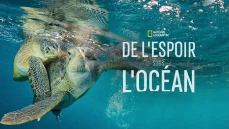 thumbnail - De l'espoir sous l'océan
