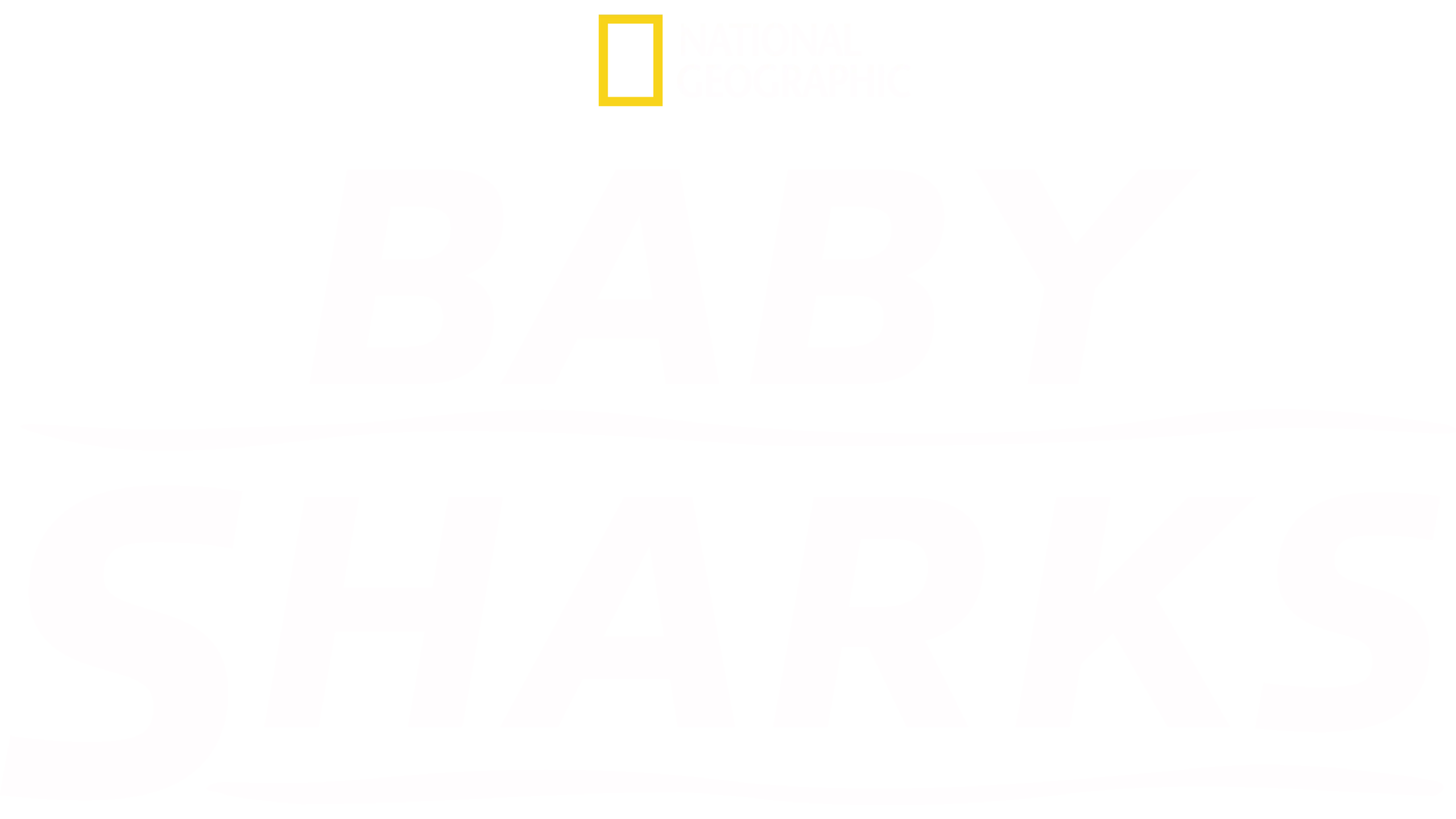 Baby Sharks